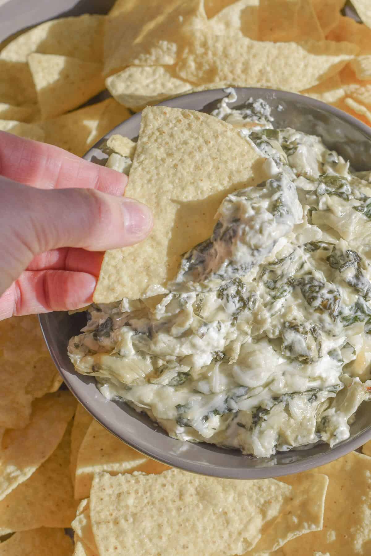 Scooping warm dip with spinach and artichoke heart with a tortilla chip.