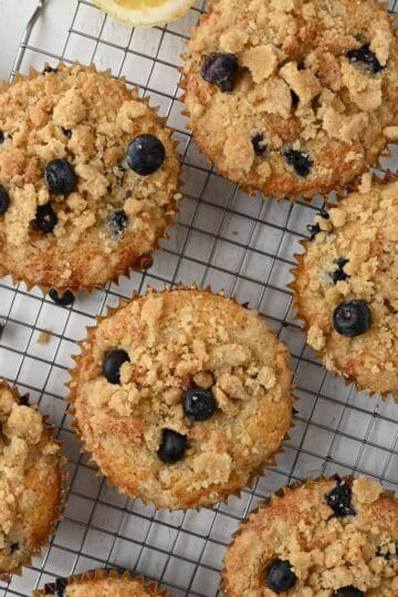 A tray of bakery style blueberry muffins cooling on a baking rack.