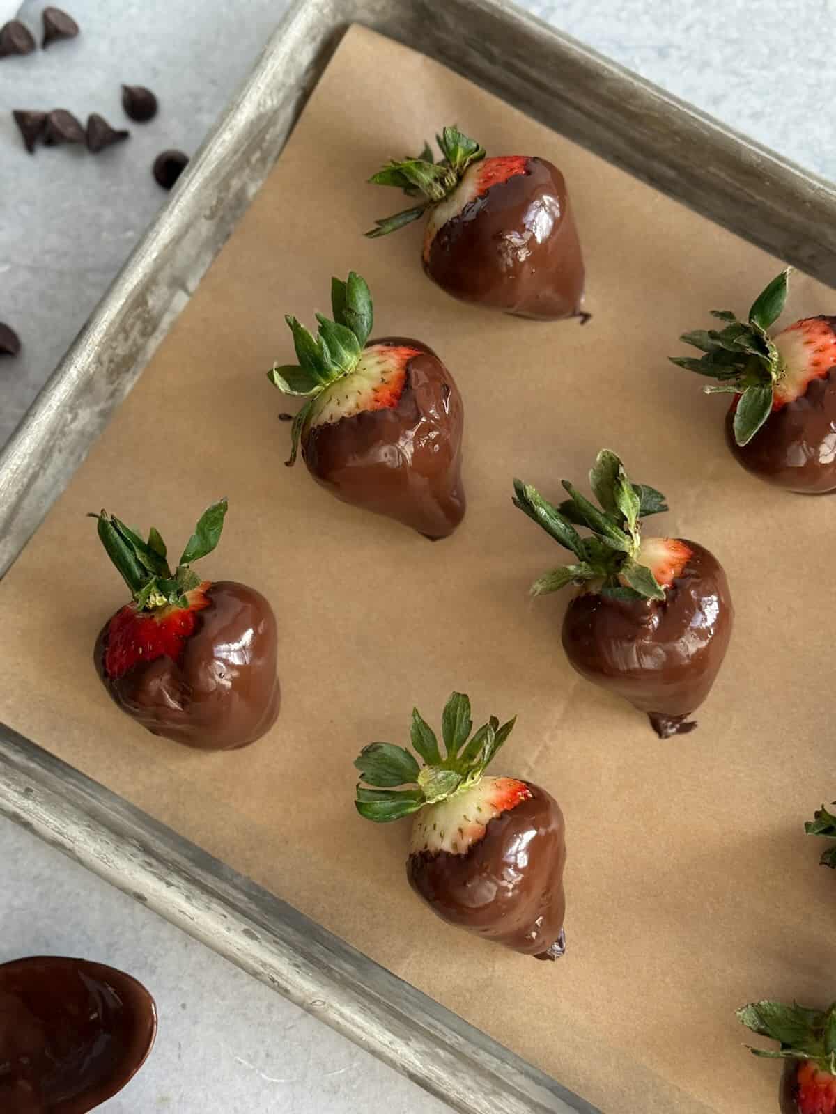 Chocolate dipped strawberries placed on parchment paper to set.