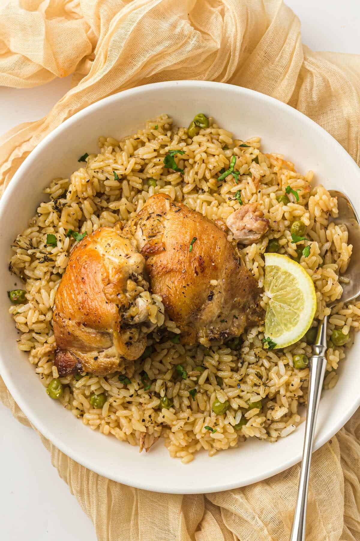Bowl of Instant Pot chicken and rice ready to serve.