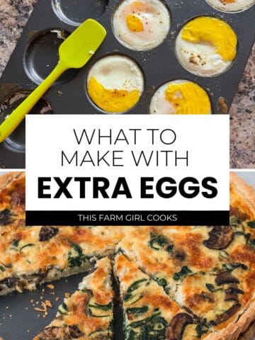 Recipes to use a surplus of eggs in breakfast, lunch, dinner and snacks.