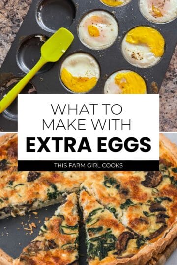 Recipes to use a surplus of eggs in breakfast, lunch, dinner and snacks.