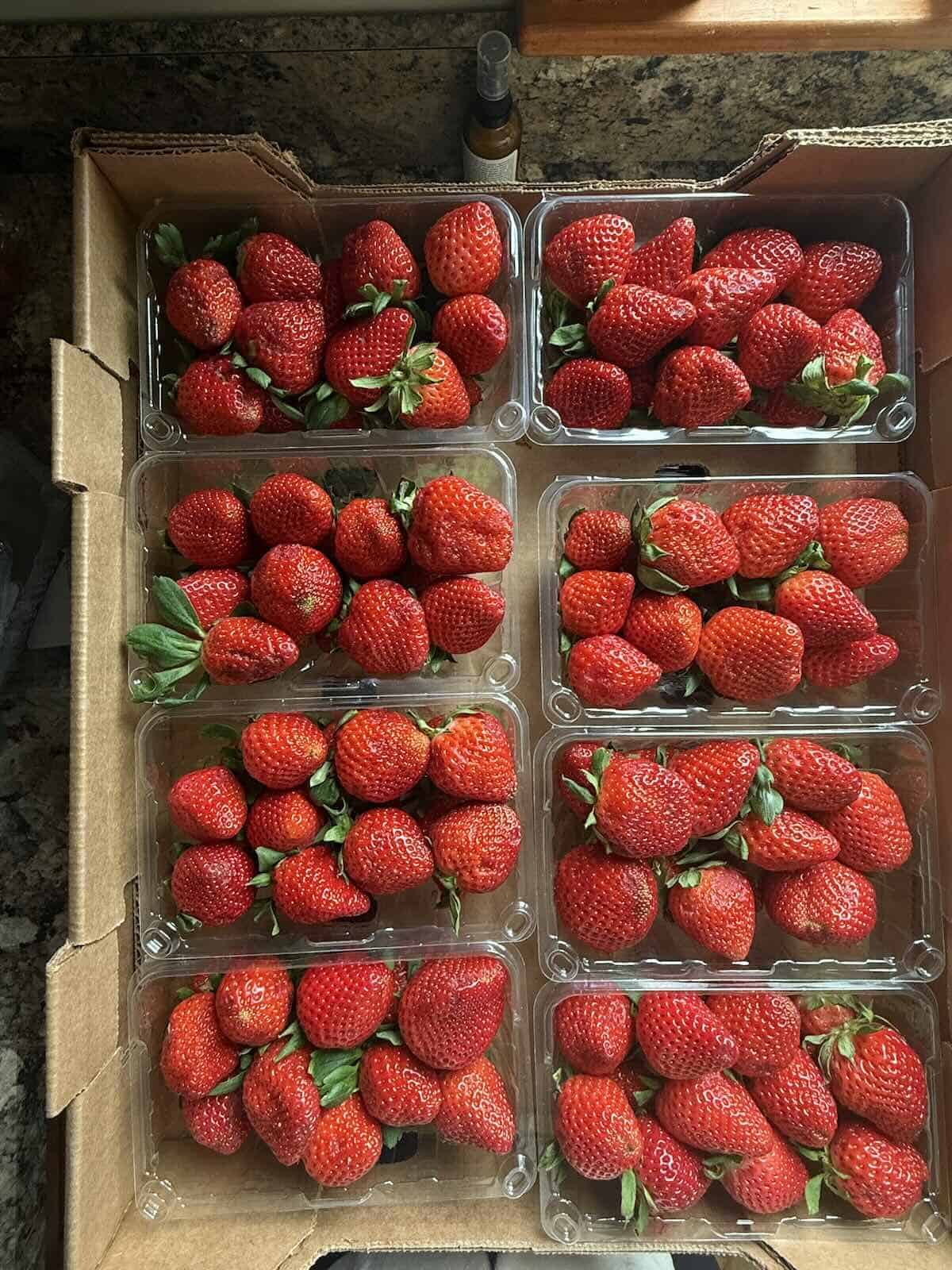 A flat of strawberries to freeze for later.