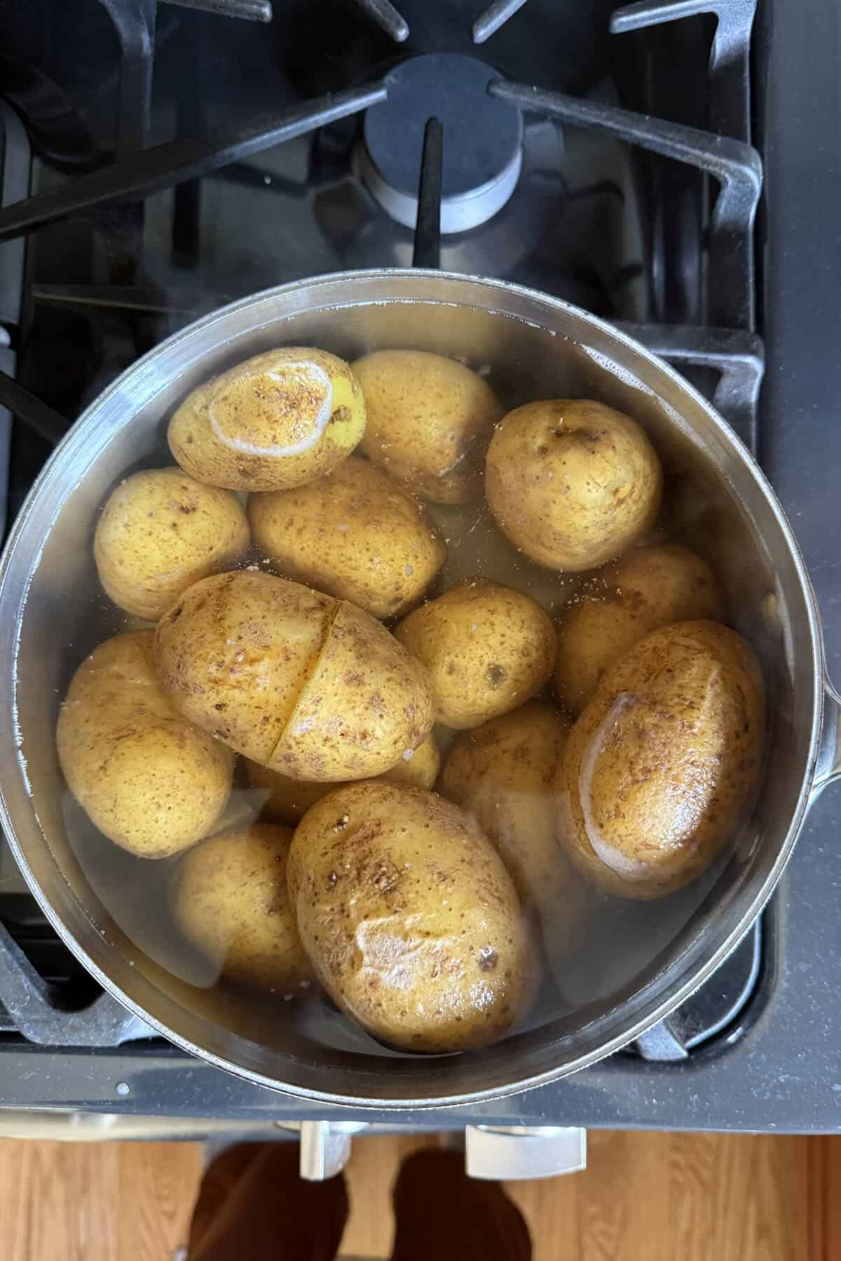 Yukon gold potatoes simmering in water until tender.