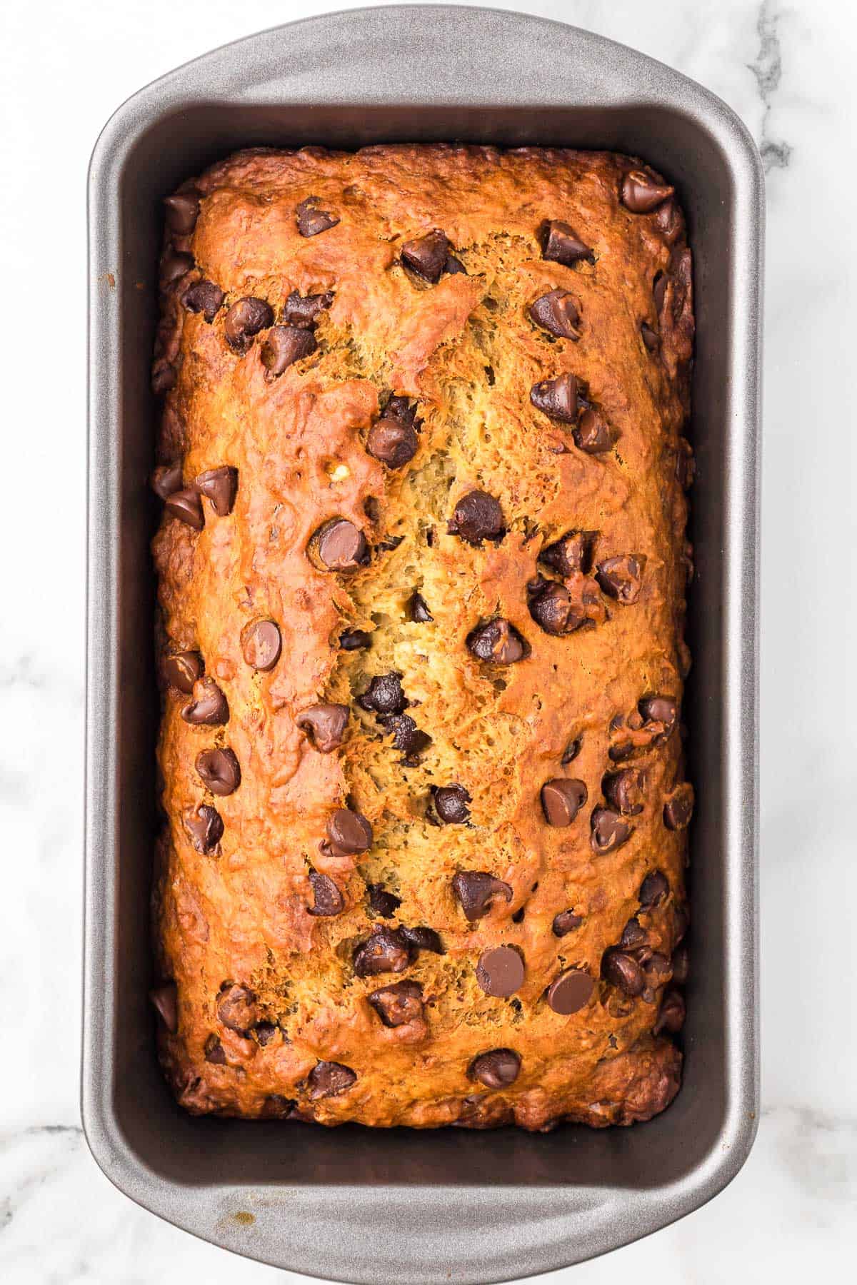 Freshly baked chocolate chip banana bread cooling in the loaf pan.