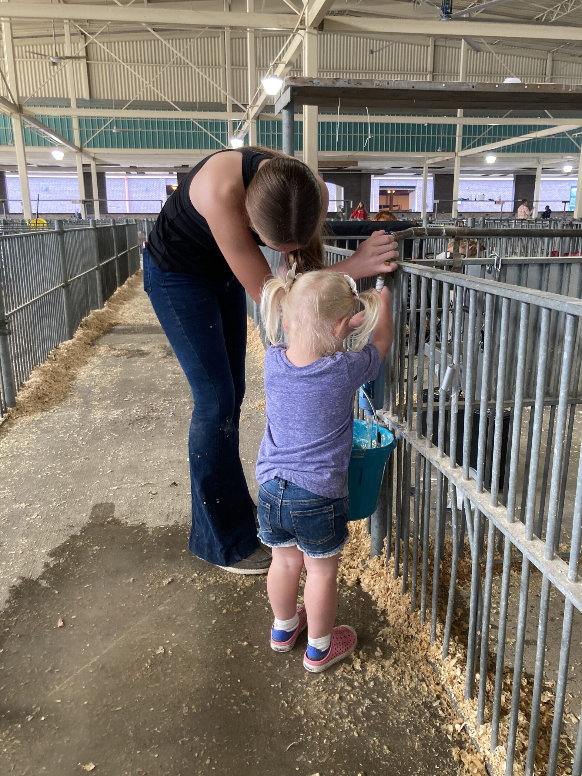 A family feeding livestock at a local fair.