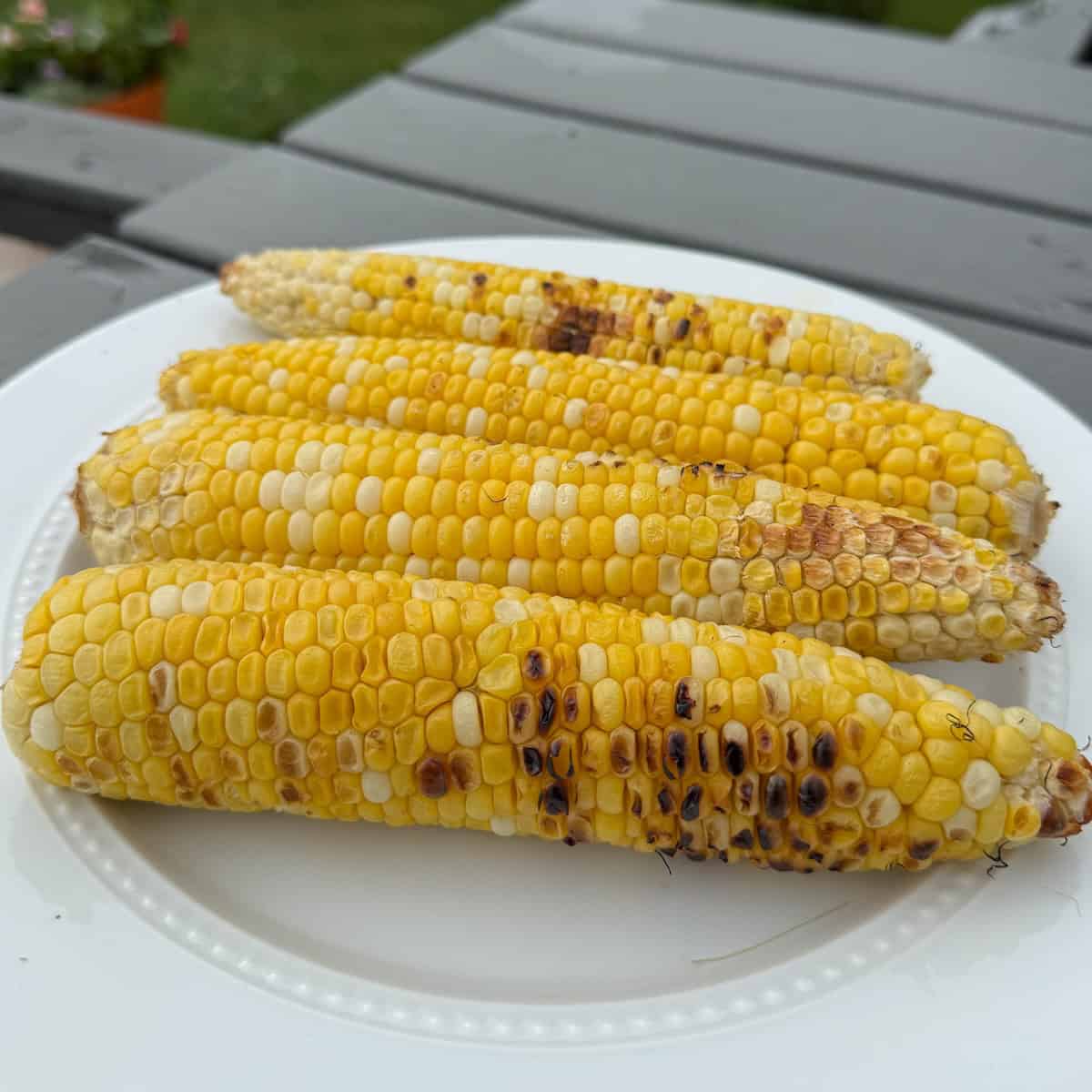 Close-up of grilled sweet corn with lightly charred kernels.
